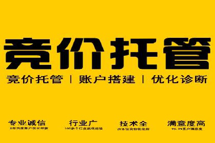 电商行业SEM运营的挑战与成功案例